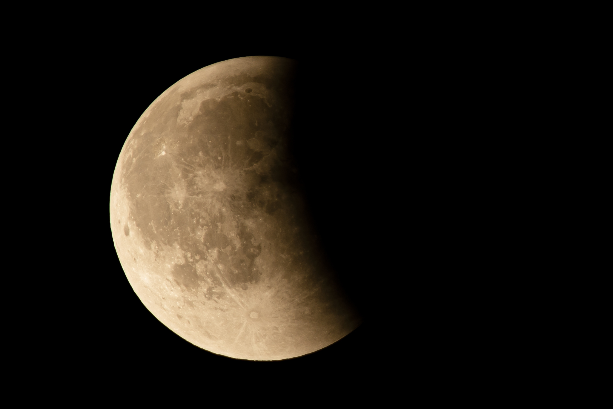 Examination Schedule for UG 4 Year First Semester (Regular & Backlog) Examination,                       2024